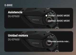 Ebike ORBEA RISE TALLA XL