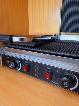 Plancha profesional VEVOR