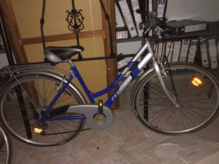 Bicicleta paseo