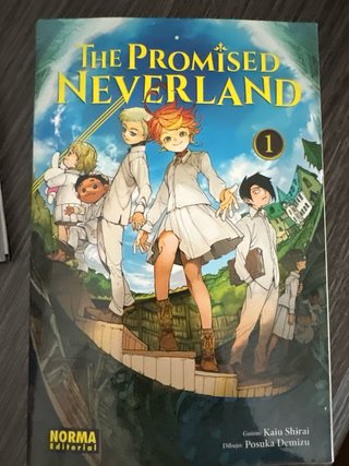Pack de 11 mangas