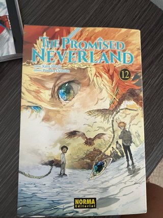 Pack de 11 mangas