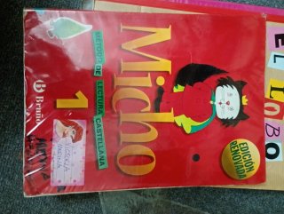 Libro lectura micho