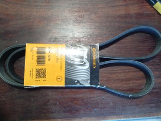 Correa Continental 6PK 1370 Multi V-Belt