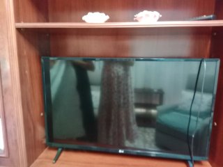 Televisión LG 43 43LK5100PLA