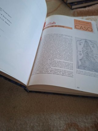 Lotto 3 libri Predire Fabbri Editori Esoterismo
