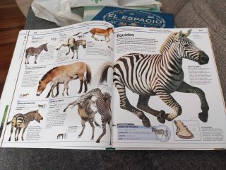 Animales ( Mundo 3D ) El reino animal como nunc...