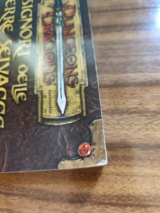 Dungeons & Dragons - Signori delle terre selvagge