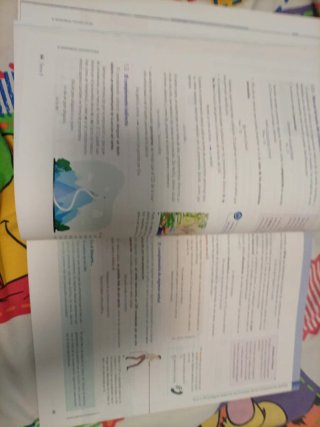 Lengua castellana y literatura 2 bachillerato :...