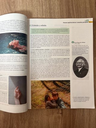 Psicología, Bachillerato