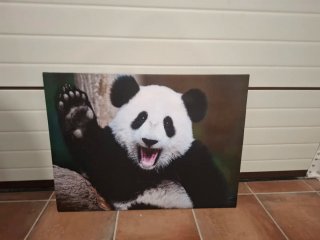 Cuadro panda