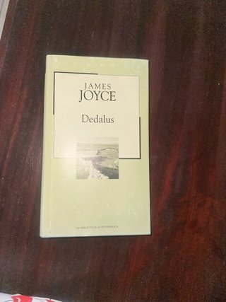 Dedalus ritratto dell'artista da giovane