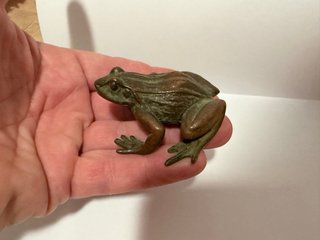 Tempai o figura de acento rana