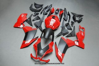 Oferta especial Carenado APRILIA RS4 / RS 50 2011