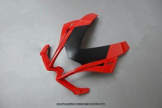 Oferta especial Carenado APRILIA RS4 / RS 50 2011
