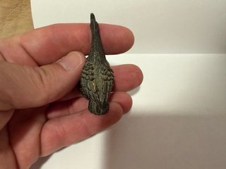 Tempai o figura de acento pato