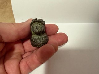 Tempai o figura de acento pato