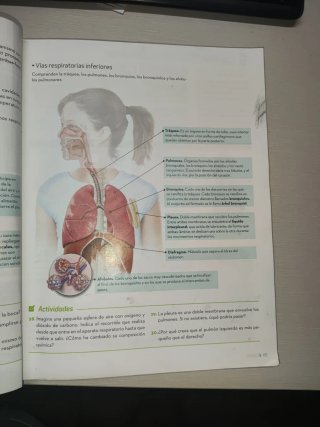 Biología y Geología, 3o ESO.