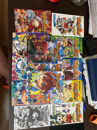 Inazuma Eleven e Inazuma Eleven Go