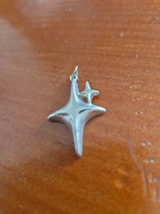 Collar de plata con estrella
