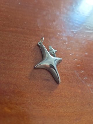 Collar de plata con estrella