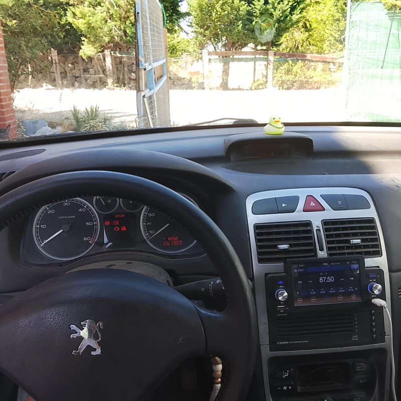 Peugeot 307 2002 - foto 1
