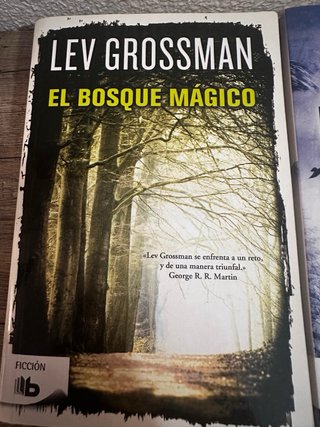 Lote libros de fantasia
