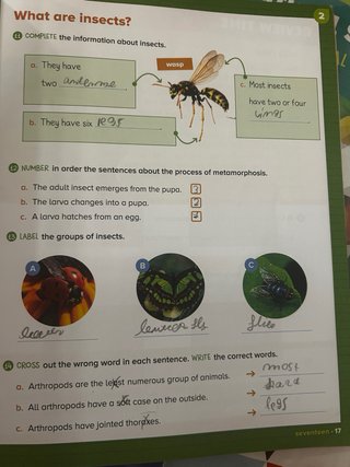 NATURA 3 PRIMARY ACTIVITY BOOK y MY VISUAL BOOK