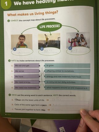 NATURA 3 PRIMARY ACTIVITY BOOK y MY VISUAL BOOK
