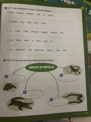 NATURA 3 PRIMARY ACTIVITY BOOK y MY VISUAL BOOK