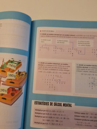 Matemàtiques 6, Tercer Cicle Primària, Sabers, ...