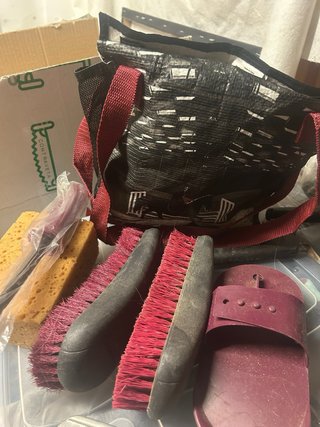 Accesorios de limpieza para caballos