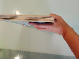 lote de libros pirritx eta Porrotx