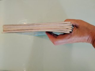 lote de libros pirritx eta Porrotx
