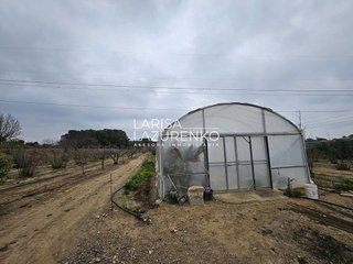 Casa rural en venta en Riudoms