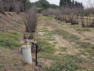 Casa rural en venta en Riudoms