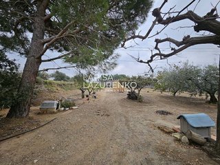 Casa rural en venta en Riudoms