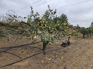 Casa rural en venta en Riudoms