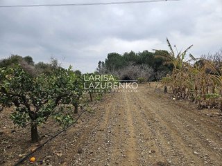 Casa rural en venta en Riudoms