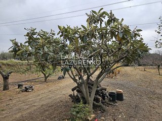 Casa rural en venta en Riudoms