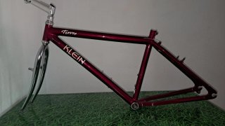 Klein fervor
