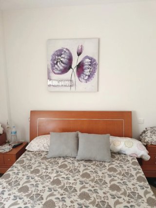 Cuadro Decorativo Flores Moradas y Plateado