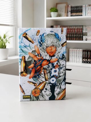 Lote de Mangas Variados + cofres
