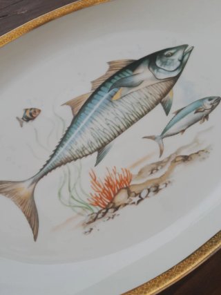 Piatto portata ovale porcellana decoro pesci