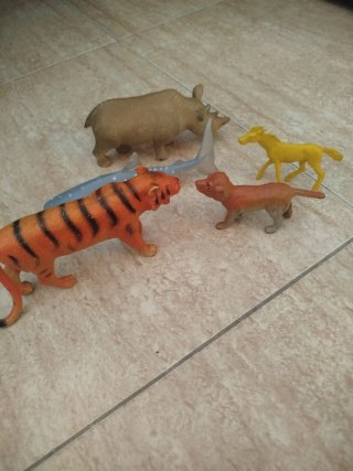 Tigre