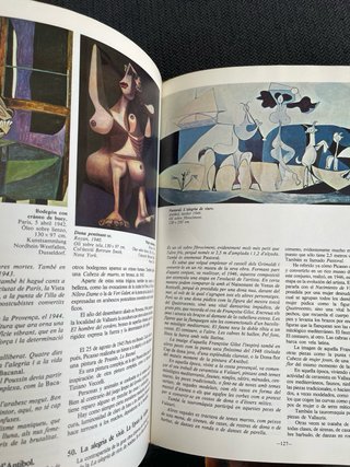 2 Libros arte Dali - Pla . Picasso