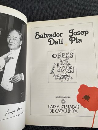 2 Libros arte Dali - Pla . Picasso