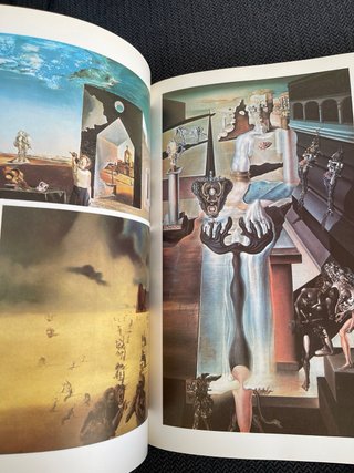 2 Libros arte Dali - Pla . Picasso