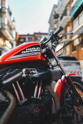 Harley Davidson 883 Sportster XL Naranja