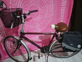 Bicicleta Giant Freerider
