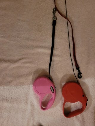 Correas Flexi para mascotas (2 unidades)